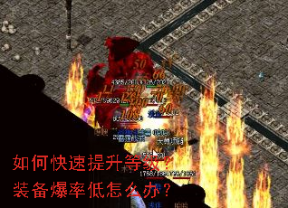 ��ο��������ȼ���װ�����ʵ���ô�죿