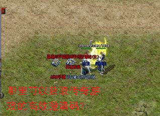 ������Ի�ȡ������Ϸ�ĸ�Ч�����룿