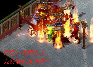 �ͻ�����Х���죬�����ز����Ѱ��