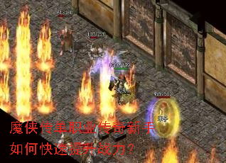 ħ������ְҵ����������ο�������ս����