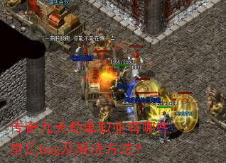 �������ٵ�ְҵ����Щ����bug�����������