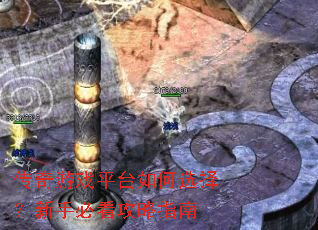 ������Ϸƽ̨���ѡ�����ֱؿ�����ָ��
