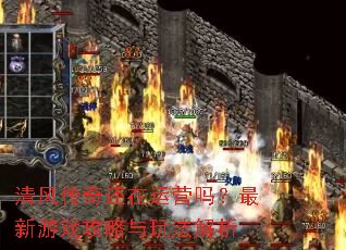 ��紫�滹����Ӫ��������Ϸ�������淨����