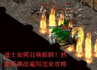 ��ʿ����ٻ����룿��Ѫ���ս���귨ȫ����