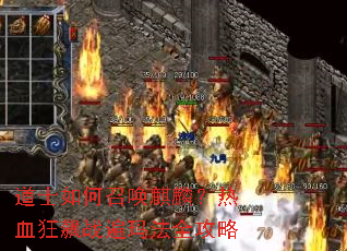 ��ʿ����ٻ����룿��Ѫ���ս���귨ȫ����