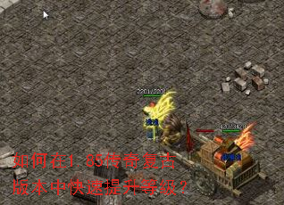 �����1.85���渴�Ű汾�п��������ȼ���