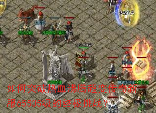 ���ͻ����Ѫ���ڳ��䴫���·�65535�����ռ���ս��