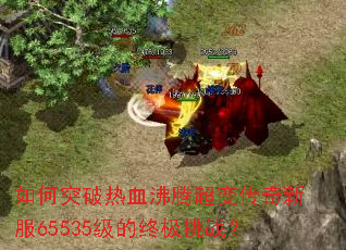 ���ͻ����Ѫ���ڳ��䴫���·�65535�����ռ���ս��