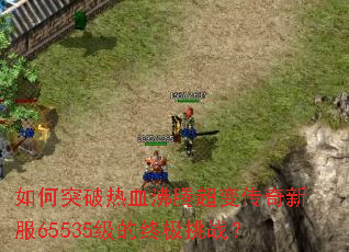 ���ͻ����Ѫ���ڳ��䴫���·�65535�����ռ���ս��