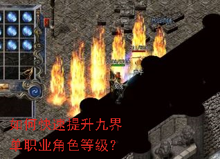 ��ο��������Ž絥ְҵ��ɫ�ȼ���