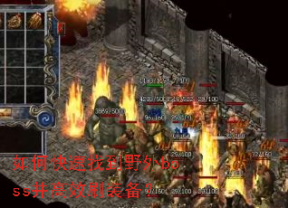 ��ο����ҵ�Ұ��boss����Чˢװ����