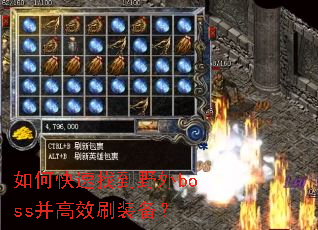 ��ο����ҵ�Ұ��boss����Чˢװ����