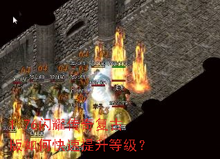 1.76��ҫ���渴�Ű���ο��������ȼ���