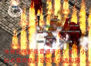 ����˽���·��𺳿���������С�ױؿ������ʴ�������ٳư�