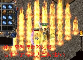 ���Ӧ�Դ���996_45�汾�еĹ����Ѫ����ս��