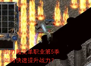 �������䵥ְҵ��5����ο�������ս����