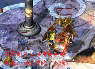 �����¿�1.76��������˽������ַ������ôѡ��