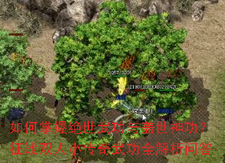 ������վ����书������񹦣���ս˫��С�����书ȫ�����ʴ�