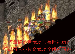 ������վ����书������񹦣���ս˫��С�����书ȫ�����ʴ�
