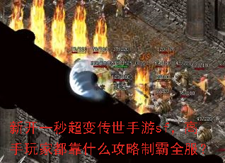 �¿�һ�볬�䴫������sf��������Ҷ���ʲô�����ư�ȫ����