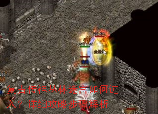 ���Ŵ�������Թ���ν��룿��ϸ���Բ������