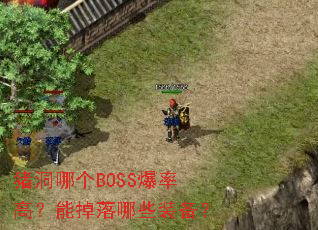 �����ĸ�BOSS���ʸߣ��ܵ�����Щװ����