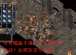 ������Ѫ���������к����湦Ч����λ�ȡ��ʹ�ã�