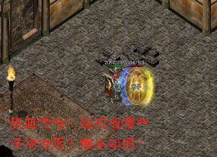 ��Ѫ���������ָ��Щ������䣿������Σ�