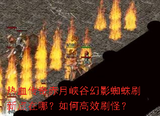 ��Ѫ�������Ͽ�Ȼ�Ӱ֩��ˢ�µ����ģ���θ�Чˢ�֣�
