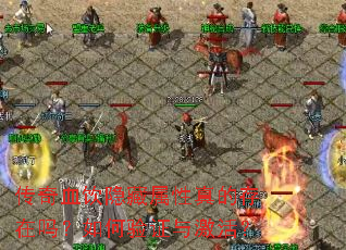 ����Ѫ������������Ĵ����������֤�뼤�