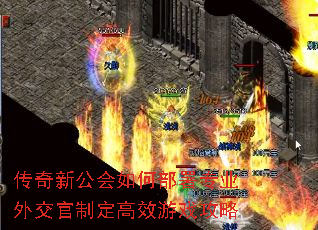 �����¹�����β���רҵ�⽻���ƶ���Ч��Ϸ����