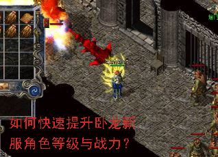如何快速提升卧龙新服角色等级与战力? 如何快速提升卧龙新服角色等级与战力?