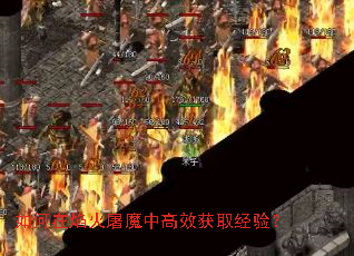 ����������ħ�и�Ч��ȡ���飿