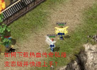 ���������Ѫ����˽����̬�沢�������֣�