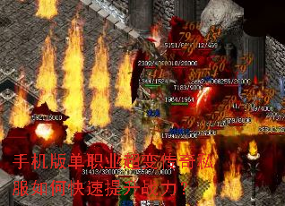 �ֻ��浥ְҵ���䴫��˽����ο�������ս����