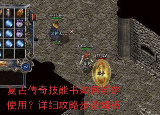 ���Ŵ��漼������ΰ�ʹ�ã���ϸ���Բ������