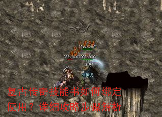 ���Ŵ��漼������ΰ�ʹ�ã���ϸ���Բ������