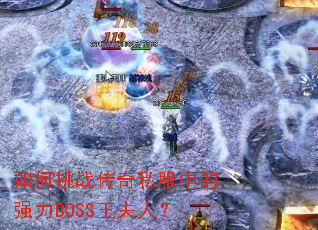 �����ս����˽���е�ǿ��BOSS�����ˣ�