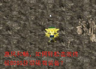 �ݷ�ͳ���������ɻ����ռ�BOSS��ȡϡ��װ����