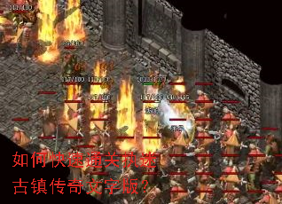 ��ο���ͨ��ִ�Թ��������ְ棿