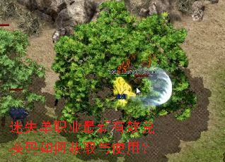 ��ʧ��ְҵ������Ч�һ�����λ�ȡ��ʹ�ã�