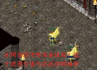 ��λ�ȡ�����Ͻ�������սʿ������ֵ��ʵս���Խ���