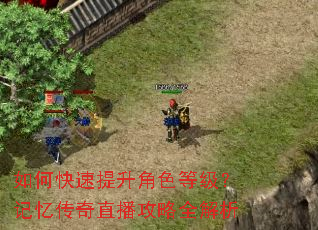 如何快速提升角色等级?记忆传奇直播攻略全解析 如何快速提升角色等级?记忆传奇直播攻略全解析