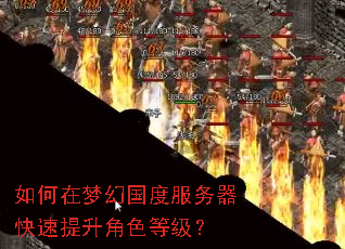 如何在梦幻国度服务器快速提升角色等级? 如何在梦幻国度服务器快速提升角色等级?