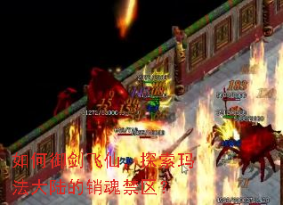 如何御剑飞仙,探索玛法大陆的销魂禁区? 如何御剑飞仙,探索玛法大陆的销魂禁区?