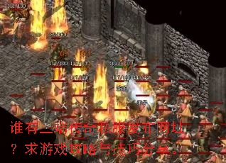 ˭�����˴���˽��������ַ������Ϸ�����뼼�ɷ�����