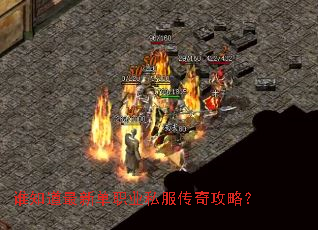 谁知道最新单职业私服传奇攻略? 谁知道最新单职业私服传奇攻略?