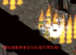 谁知道最新单职业私服传奇攻略? 谁知道最新单职业私服传奇攻略?
