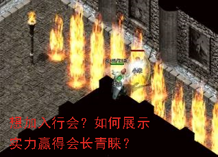 ������л᣿���չʾʵ��Ӯ�û᳤������