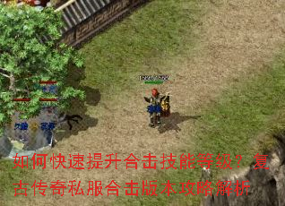 如何快速提升合击技能等级?复古传奇私服合击版本攻略解析 如何快速提升合击技能等级?复古传奇私服合击版本攻略解析
